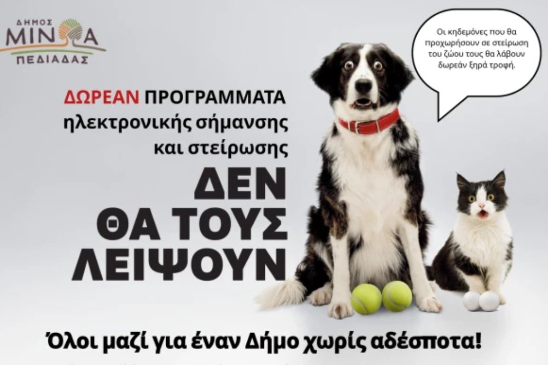 Δήμος Μινώα Πεδιάδας: Δωρεάν κτηνιατρική δράση για σκύλους