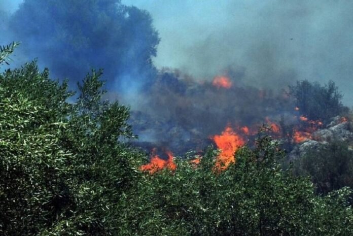 Σε πλήρη εξέλιξη φωτιά στη Βιάννο – Ισχυρή κινητοποίηση της Πυροσβεστικής