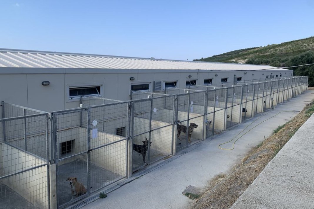 Επιστολή Καραμαλάκη για τα αδέσποτα και την επέκταση του δημοτικού κυνοκομείου