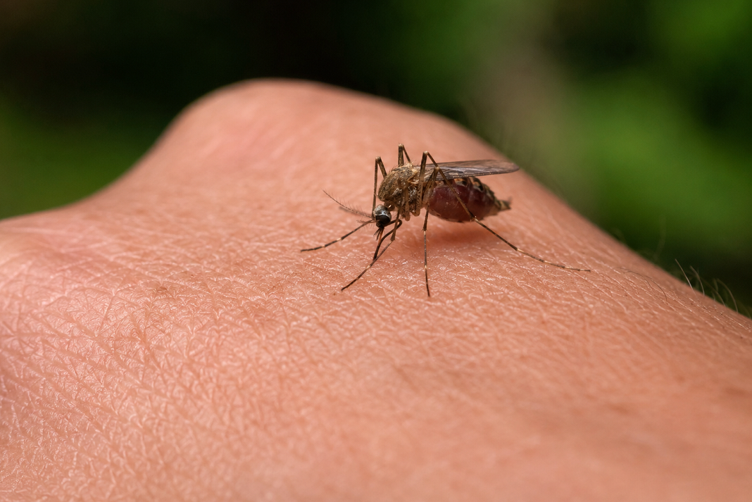 perifereia kritis synexizetai