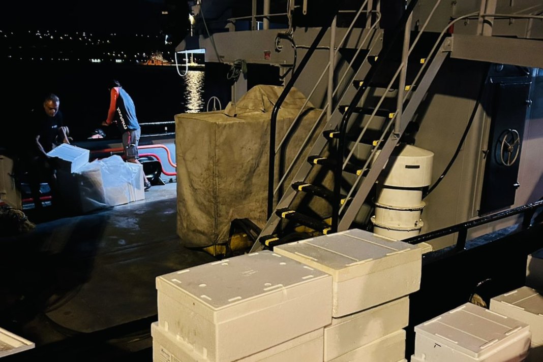 Χανιά: Συνελήφθησαν δύο άτομα που έκλεβαν τα ψάρια μέσα από τους κλωβούς του ΕΛΚΕΘΕ