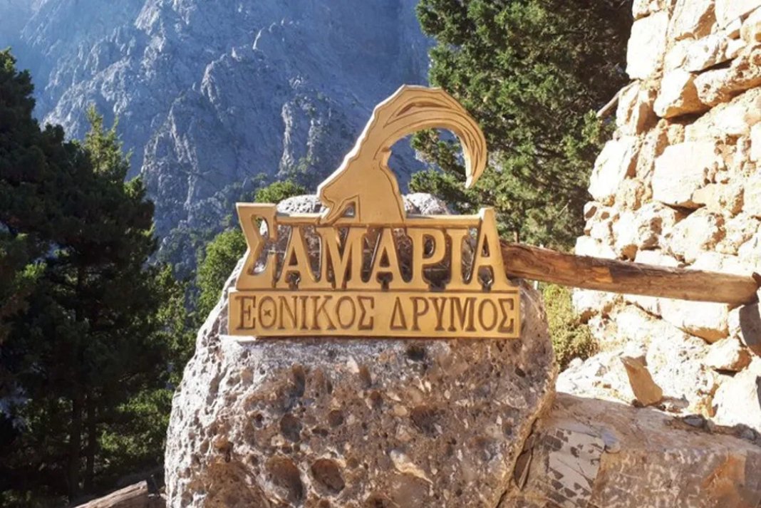 Ερευνάται καταγγελία για παράνομη θανάτωση και κατανάλωση κρι-κρι μέσα στον Εθνικό Δρυμό Σαμαριάς