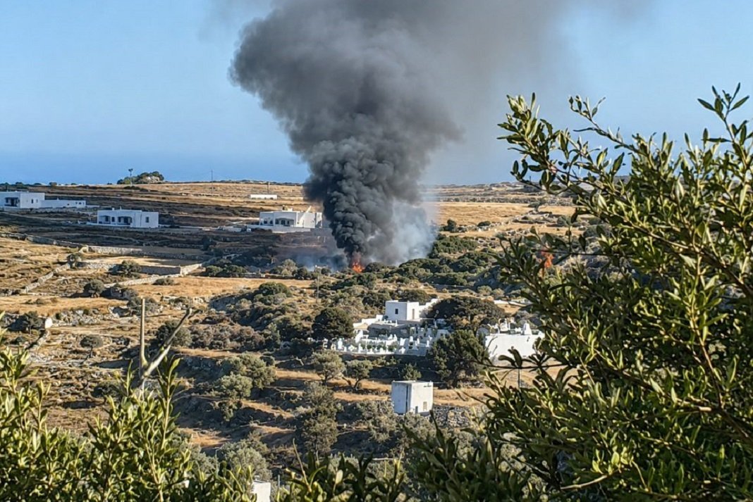 sifnos sto mikroskopio