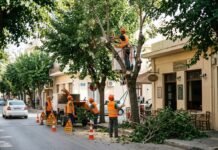 Εργασίες κλαδέματος σε σημεία του Δήμου Χανίων την Τρίτη