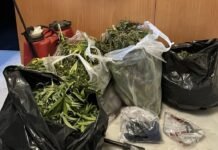 Αγιά: Από την υπόθεση της χασισοκαλλιέργειας στην αιματηρή επίθεση του 2008