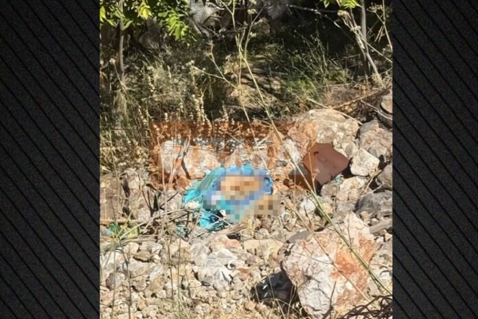 Ένα άστοχο σουτ αποκάλυψε τα ανθρώπινα οστά στην Κυψέλη, τι λέει ο άνθρωπος που τα εντόπισε