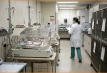 Καταγγελίες για πειράματα σε νεογέννητους μακάκους στο Πανεπιστήμιο της Ουάσιγκτον