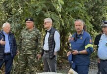 Στοιχεία συνημμένου aftopsia sta zoniana