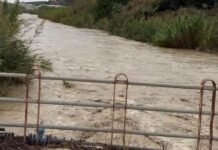 Αγανάκτηση από τους επιχειρηματίες: Η απέραντη ζώνη καταστροφής σε Φοινικιά και Μαλάδες!
