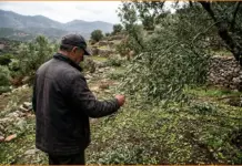 Κίσσαμος: Προθεσμία έως τις 29 Οκτωβρίου για δηλώσεις ζημιών από τη χαλαζόπτωση