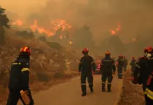 Βαγγέλης Τριάντης για ΔΕΔΔΗΕ και φωτιές: «Το μόνο μέτρο που πήραμε ήταν να καταργήσουμε το αυτόφωρο»