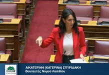 Κ. Σπυριδάκη: «Το κράτος καθυστέρησε, τα συστήματα δυσλειτουργούν και τώρα κινδυνεύουν να πληρώσουν το τίμημα οι αγρότες – Παράταση του ΟΣΔΕ έως τις 15 Δεκεμβρίου»