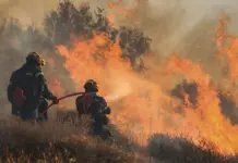 Τέσσερις εστίες φωτιάς στο Ρέθυμνο – 29 στρέμματα έγιναν στάχτη