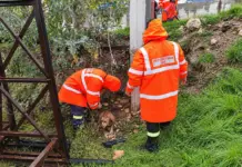 Υπεράνθρωπη προσπάθεια των διασωστών μέσα στη βροχή – Αίσιο τέλος για τον σκυλάκο (Βίντεο)